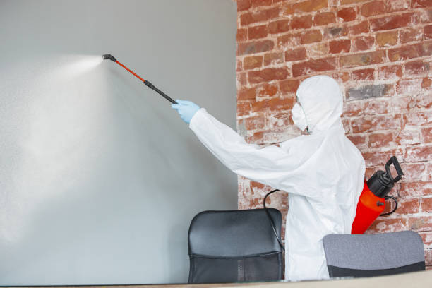 Wamego, KS Mold Removal Company