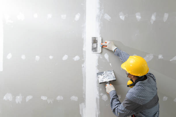 Best Mold Odor Removal Services  in Wamego, KS