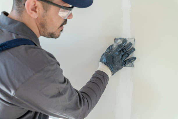 Best Mold-Related Health Consultation  in Wamego, KS