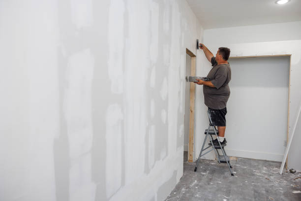 Best Mold Prevention Services  in Wamego, KS